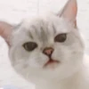 Zuzu & Nana Reactions 26