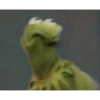 kermit the frog 29