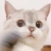 Zuzu & Nana Reactions 27