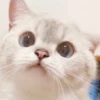 Zuzu & Nana Reactions 28
