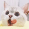 Zuzu & Nana Reactions 29