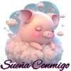 P Sueña Conmigo