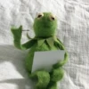 kermit the frog 30