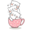 Gatitos 2 Clásica 30