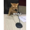 WOULD