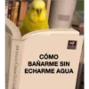 Variados❥ ︎ͫ6 Clásica 7