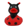 yellowducky 6