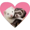 hearts 11