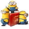 YellowBoys 9