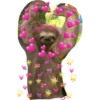 hearts 12
