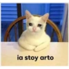 Gatitos 13