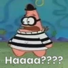 Patrick 1 16