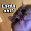 10.8 Atencion ## 11