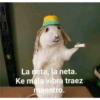 Variados❥ ︎ͫ6 Clásica 10