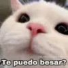 7.3 Besos ## 14