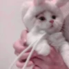 you little kitty 12