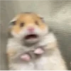 Scared/Cute 5
