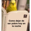 Variados❥ ︎ͫ6 Clásica 14