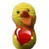 yellowducky 11