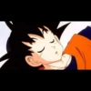 dragon ball 12