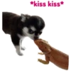 Batman Valentino Sethpornpong 11