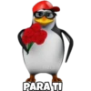 CIELO PARA TI