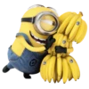 YellowBoys 18