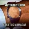 NOS VALE MADRE ️ 17