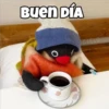 Buen DÍA O CIELO