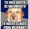 NOS VALE MADRE ️ 20