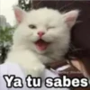 11.1 Puño hi5 clasico ## 19
