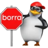 borra CIELO