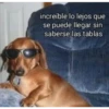 Variados❥ ︎ͫ6 Clásica 20