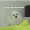 Scared/Cute 7