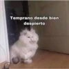 Variados❥ ︎ͫ6 Clásica 22