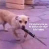 Variados❥ ︎ͫ6 Clásica 23
