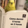 Variados❥ ︎ͫ6 Clásica 24