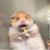 Scared/Cute 9