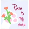 NOTAS DE AMOR 2 27