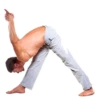 Yoga Poses 29