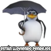 CIELO ESTÁN LLOVIENDO PENDEJOS