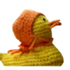 yellowducky 17