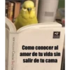Variados❥ ︎ͫ6 Clásica 29