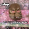 stop
cheems.king
You are making me blush