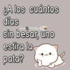 ¿A los cuántos días Gina 07043C sin besar, uno estira la pata?