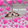 wholesome.shy
hey cutie
