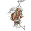 Peces Koi❥ ︎ͫ1 Clásica 13