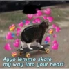 a
some soru
Ayyo lemme skate
my way into your heart