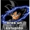 Goku black &Vegeta 9