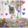 on my way
@WholesomeKingdom
to hug you